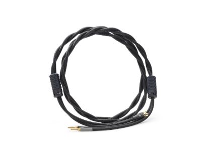 Picture of Gamma Speaker Cable