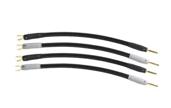 Picture of Theta Speaker Jumper Cable