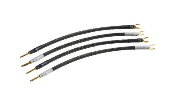 Picture of Gamma Speaker Jumper Cable