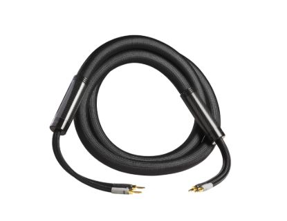 Picture of Sigma-X Speaker Cable