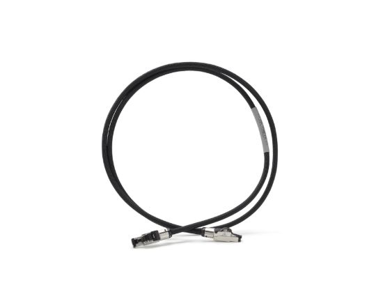 Picture of Theta Ethernet Cable