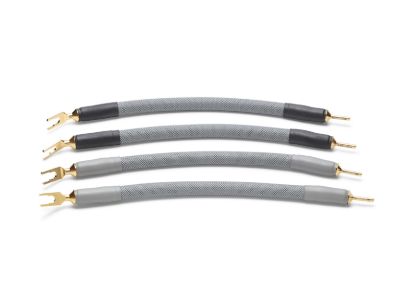 Picture of Omega-X Speaker Jumper Cable