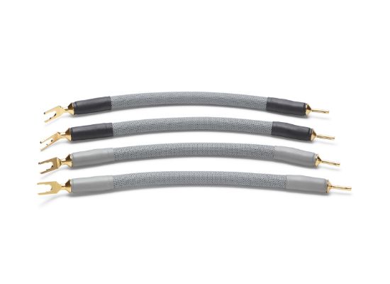 Picture of Omega-X Speaker Jumper Cable