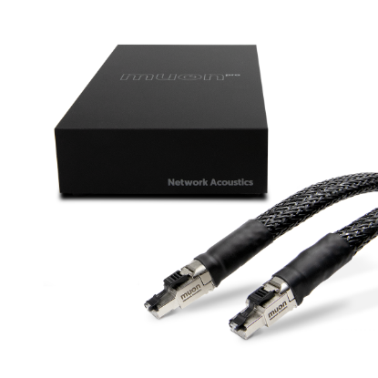 Picture of Muon Pro Ethernet Filter