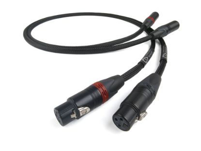 Picture of SignatureX Tuned ARAY 2XLR to 2XLR
