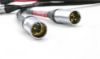Picture of Black II XLR  Cable