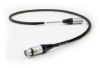 Picture of Black II Digital XLR Cable
