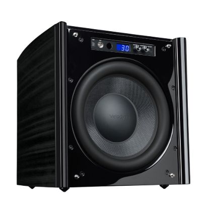 Picture of DDP-12 Subwoofer