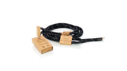 Picture of Delphius Speaker Cable