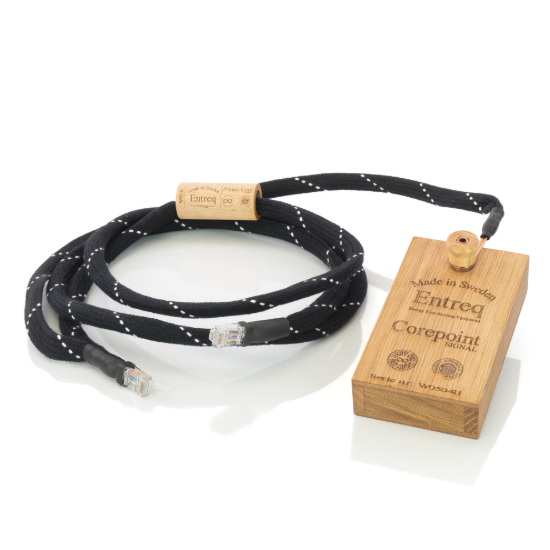 Picture of Primer Core Digital Ethernet Cable