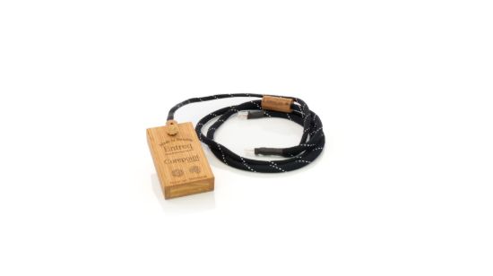 Picture of Delphius Digital AES Cable