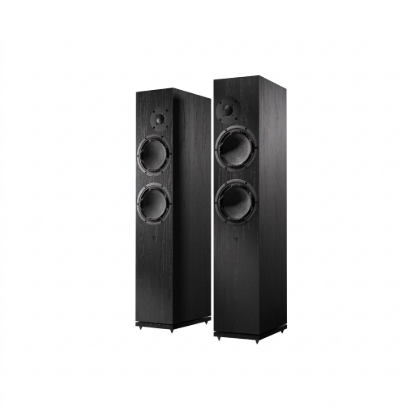 Picture of Transcendence 2.5 Speakers