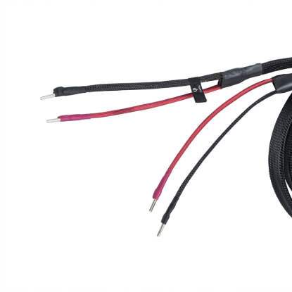 Picture of Ascendance Range Bi - Wire Jumpers (20cm)