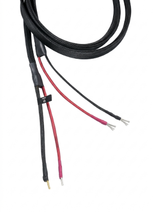 Picture of Ascendance Range Speaker cable